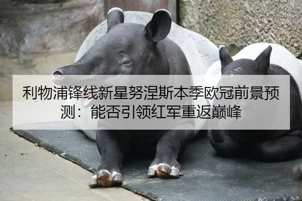 利物浦锋线新星努涅斯本季欧冠前景预测：能否引领红军重返巅峰