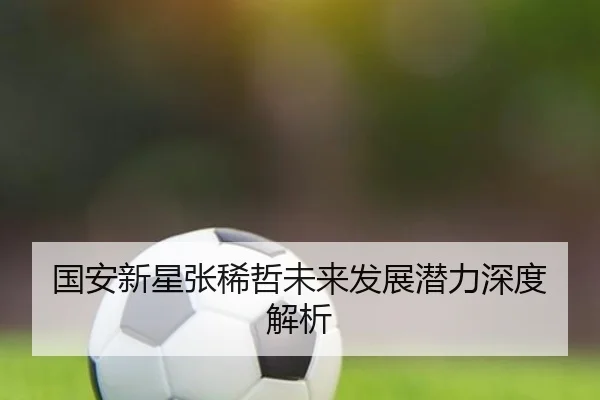 国安新星张稀哲未来发展潜力深度解析